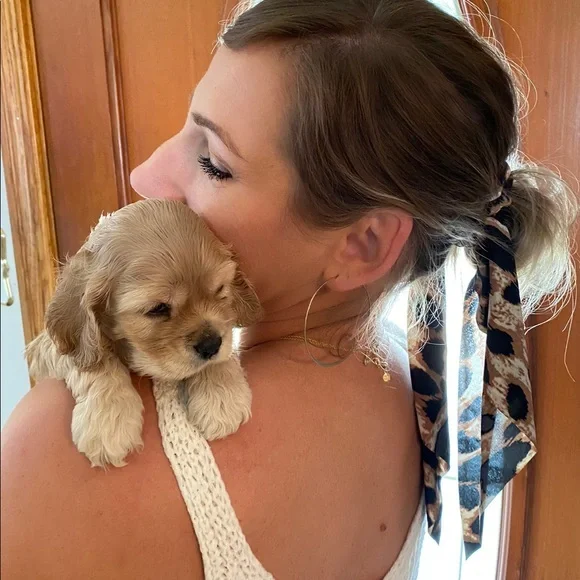 | leopard pony hair scrunchie scarf | - Picture 2 of 5